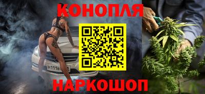 гидра Нальчик