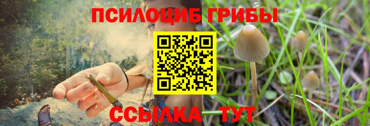 наркота  Галлюциногенные грибы Psilocybe  Вход с VPN  Кувандык 