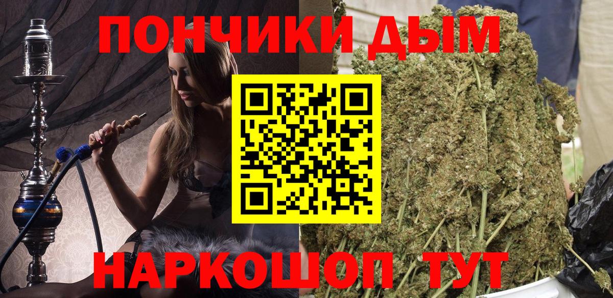 Каннабис сатива Кувандык